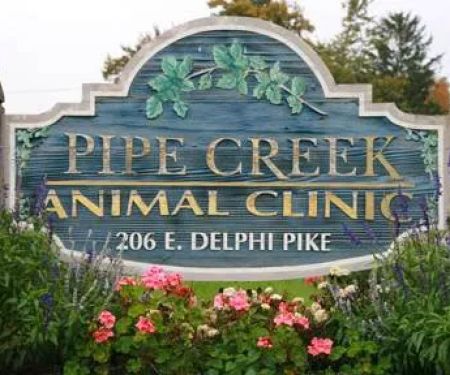 Pipe Creek Animal Clinic