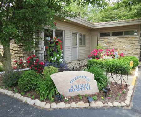 Greentown Animal Hospital