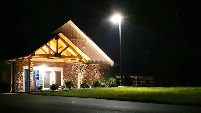 Palmetto Equine Veterinary Services Picture 1