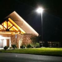 Palmetto Equine Veterinary Services ico