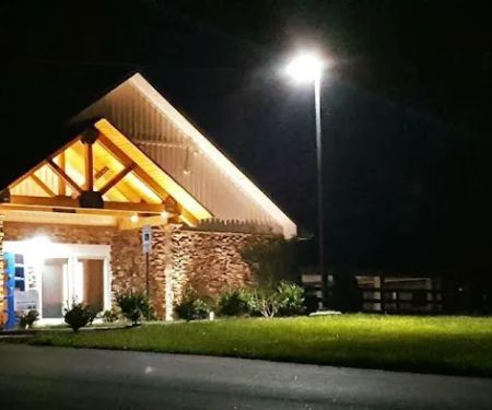 Palmetto Equine Veterinary Services