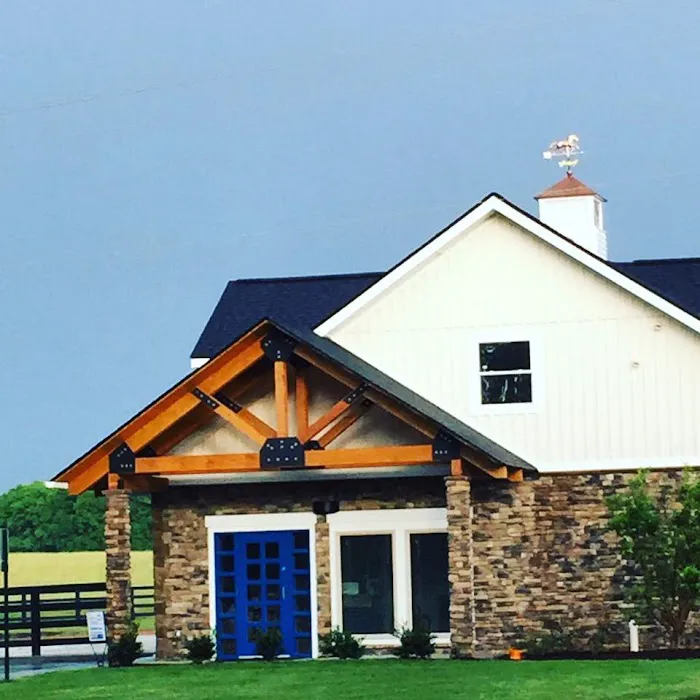 Palmetto Equine Veterinary Services Picture 4