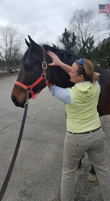 Palmetto Equine Veterinary Services Picture 5