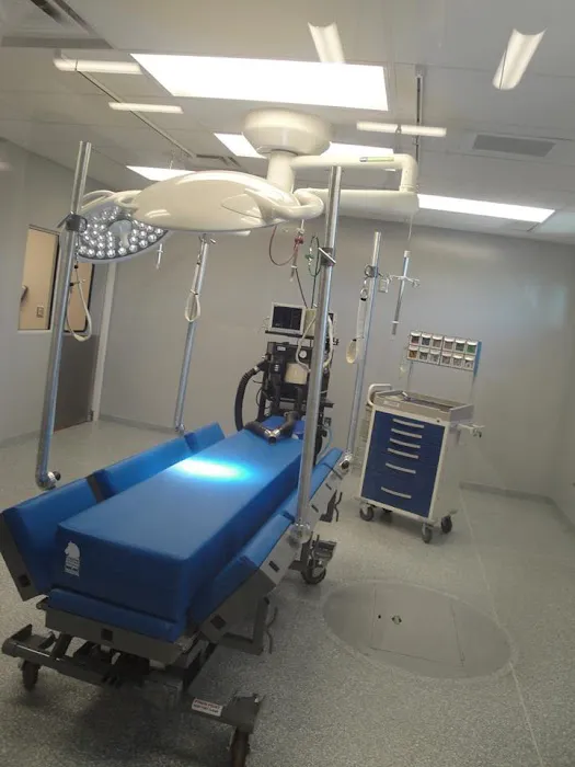 Palmetto Equine Veterinary Services Picture 6