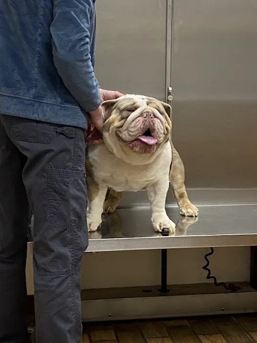 Animal House Veterinary Hospital Picture 1