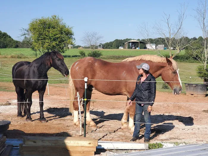 Wild Hearts Equine Therapy Center Picture 9