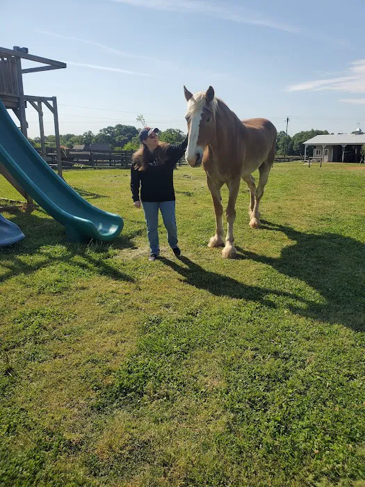 Wild Hearts Equine Therapy Center Picture 7