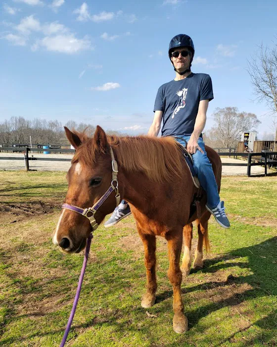 Wild Hearts Equine Therapy Center Picture 1