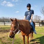 Wild Hearts Equine Therapy Center