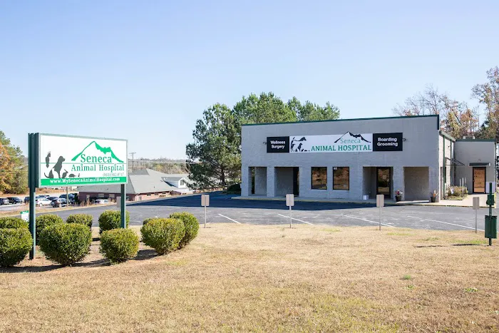 Seneca Animal Hospital Picture 4