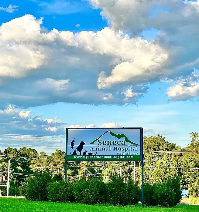 Seneca Animal Hospital Picture 6