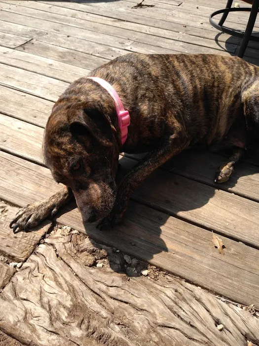 Seneca Animal Hospital Picture 8