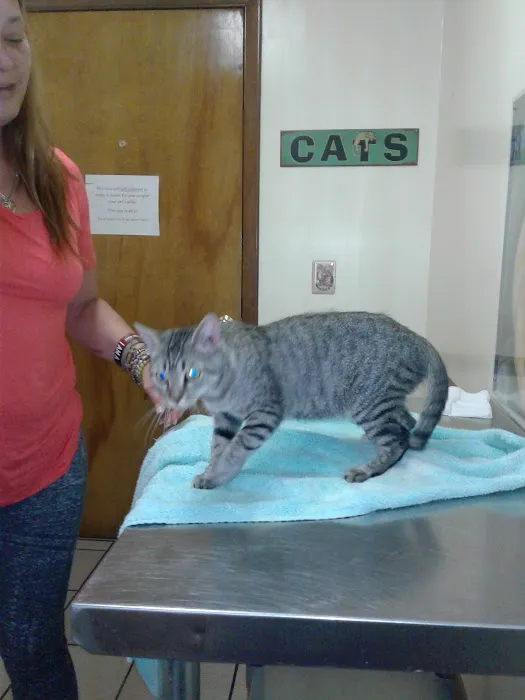 Sunset Animal Clinic Picture 5