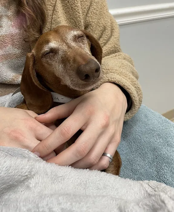 Mountain Emergency Animal Center Picture 3