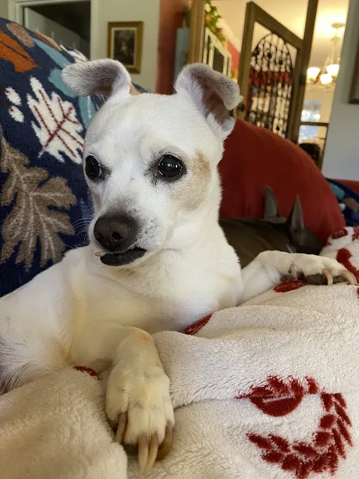 Ocoee Animal Hospital Picture 1