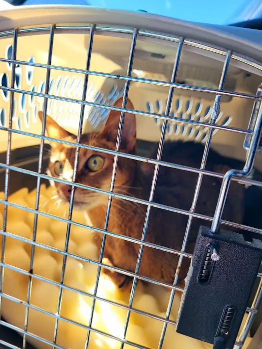 Ocoee Animal Hospital Picture 4