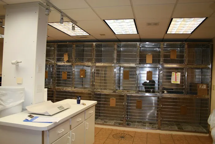 VCA Appalachian Animal Hospital Picture 6