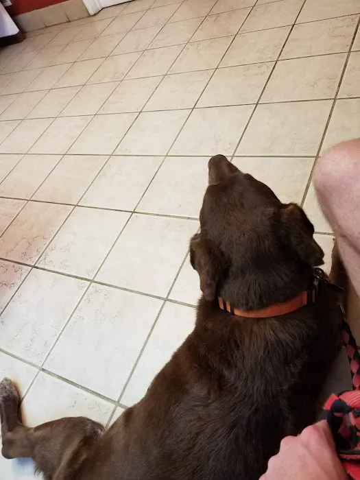 Ellijay Animal Hospital: Redman Jeff DVM Picture 1