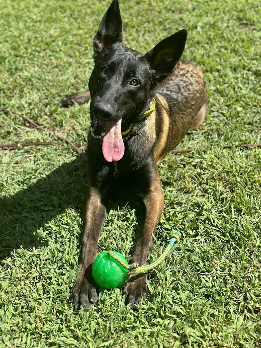 Ellijay Animal Hospital Picture 10