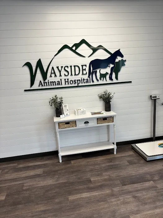 Wayside Animal Hospital @ Ellijay Picture 10