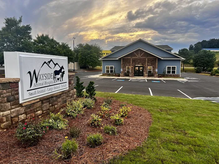 Wayside Animal Hospital @ Ellijay Picture 7