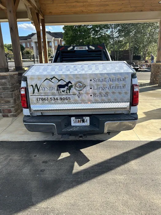 Wayside Animal Hospital @ Ellijay Picture 8