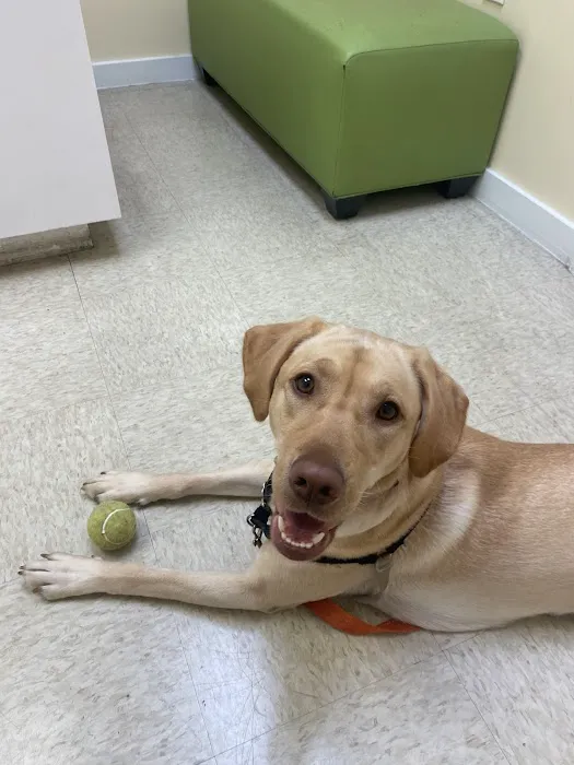LaCroix Veterinary Hospital Picture 2