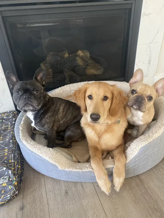 LaCroix Veterinary Hospital Picture 4