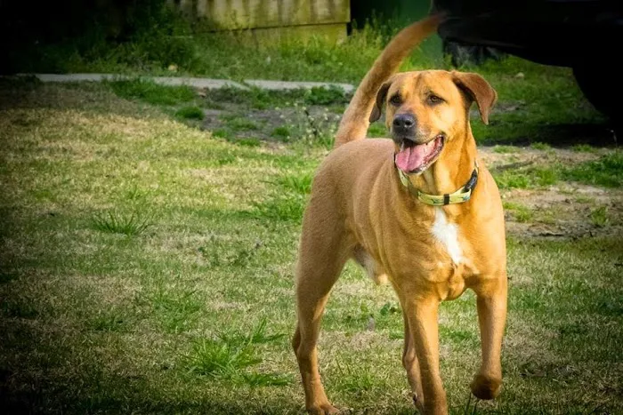 LaCroix Veterinary Hospital Picture 8
