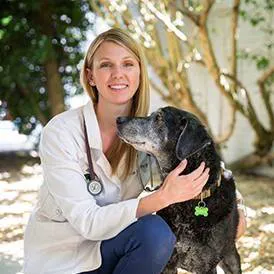 Pine Valley Animal Hospital Picture 4