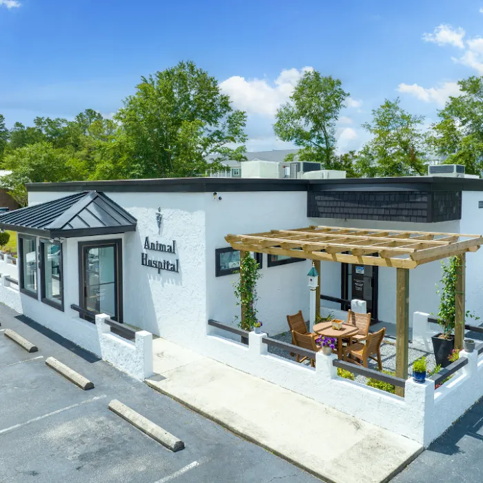 Pine Valley Animal Hospital Picture 5