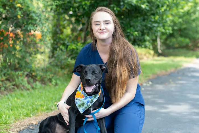 Pine Valley Animal Hospital Picture 1
