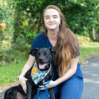 Pine Valley Animal Hospital ico