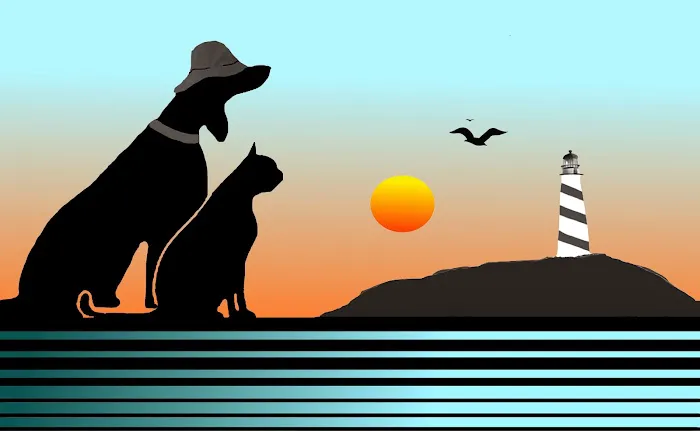 Bayshore Animal Hospital, PLLC Picture 1