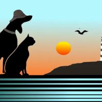 Bayshore Animal Hospital, PLLC ico