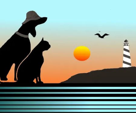Bayshore Animal Hospital, PLLC