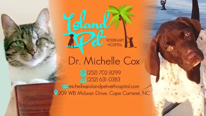 Island Pet Veterinary Hospital Picture 7