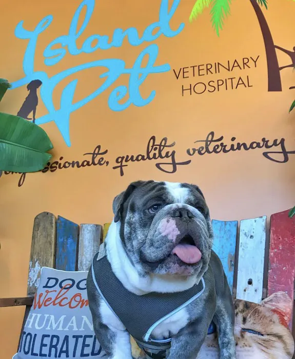 Island Pet Veterinary Hospital Picture 3