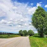 Bluegrass Veterinary Clinic