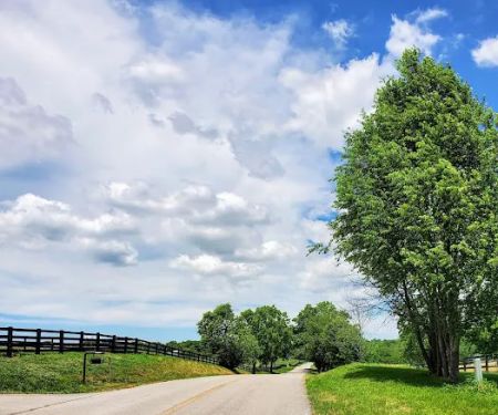 Bluegrass Veterinary Clinic