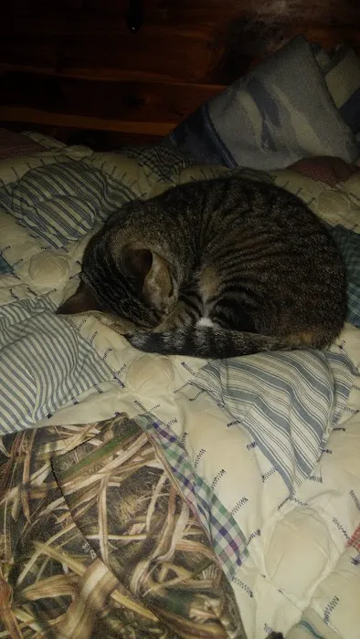 Critters Without Litters Picture 3