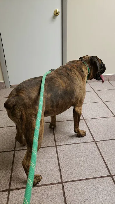 Knox County Veterinary Services, Inc. Picture 9