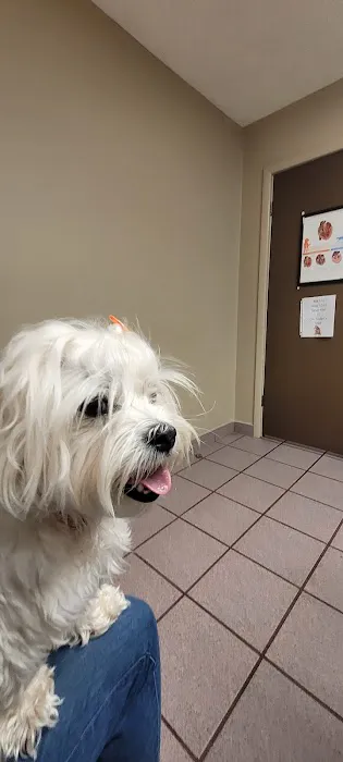Knox County Veterinary Services, Inc. Picture 3