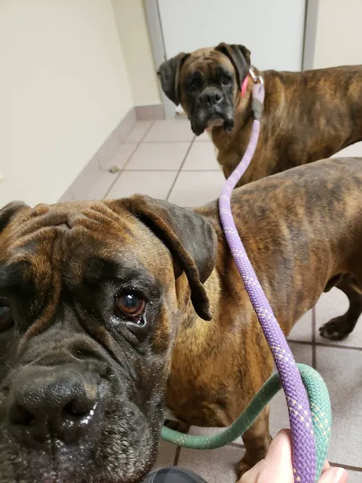 Knox County Veterinary Services, Inc. Picture 10
