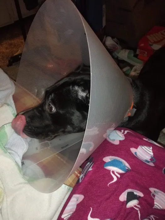 Happy Paws Spay/Neuter Clinic Picture 2