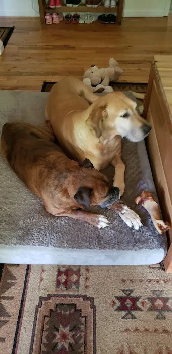 Danville Animal Clinic Picture 2