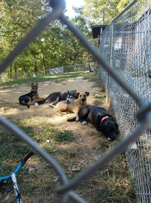Danville Animal Clinic Picture 4