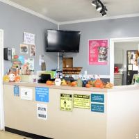 Somerset Animal Hospital ico