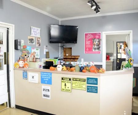Somerset Animal Hospital