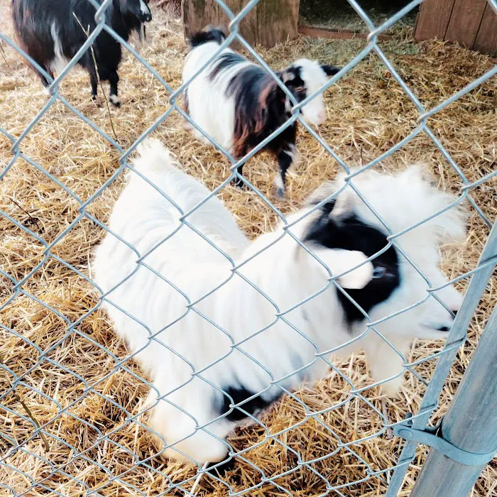 Somerset Animal Hospital Picture 10